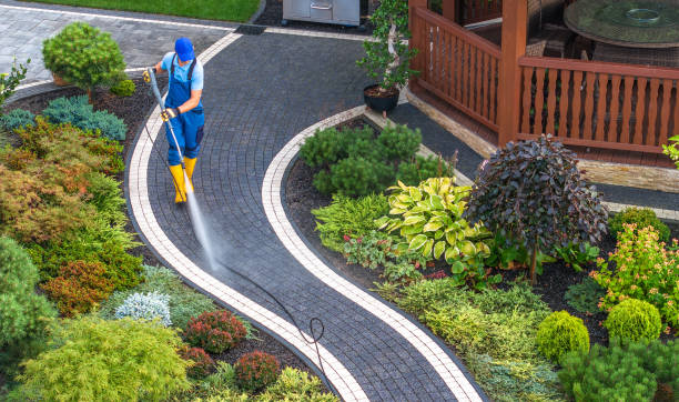 Trusted Whitney, NV Pressure Washing Experts