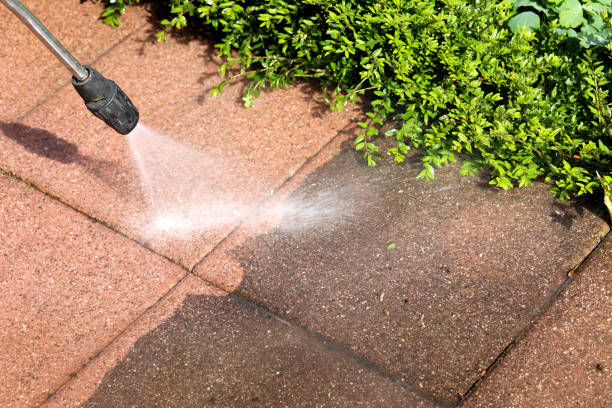 Whitney, NV Pressure Washing Company
